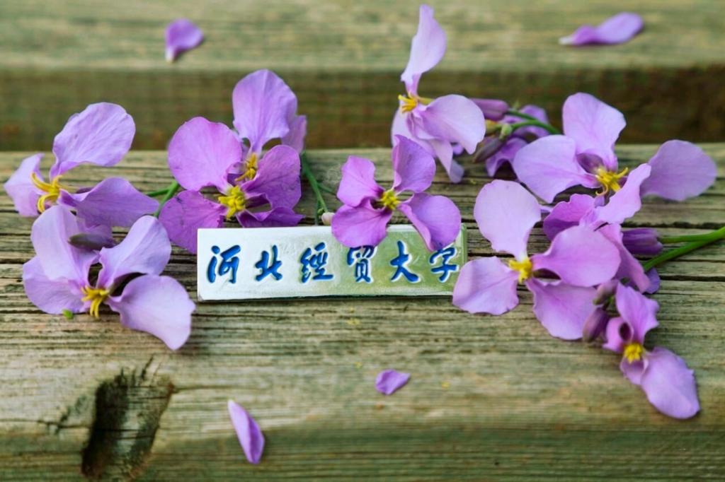 二月兰开，春满经园