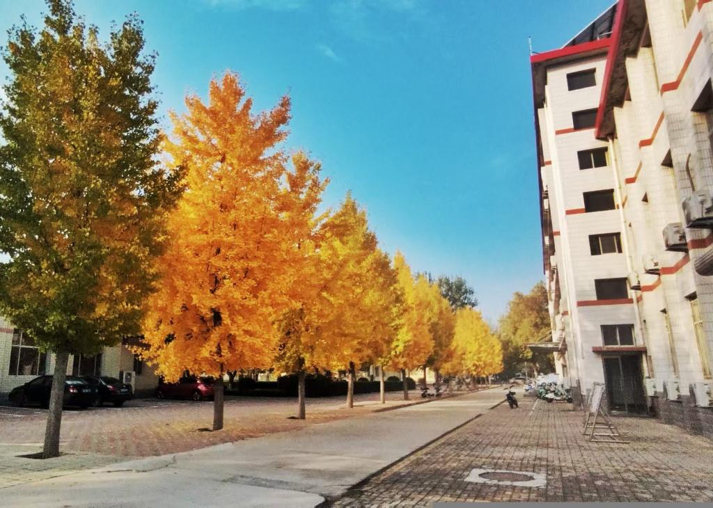 外国语学院举办“社区有约——我与书记校长‘面对面’” 学生座谈会